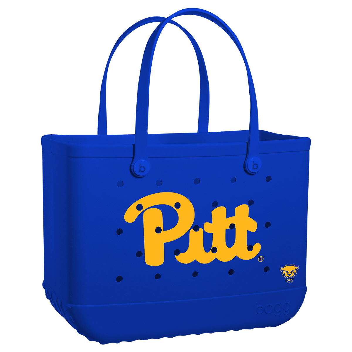 Original - Pittsburgh Panthers E6